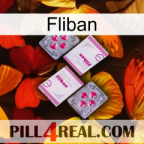 Fliban 33
